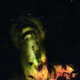 Illustration for article titled Carnival Tourists, Evolution And Crazy Mutants In New French Horror Films